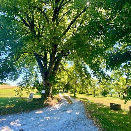 Gite De L'Edelinie Nanteuil-Auriac-de-Bourzac Bagian luar foto