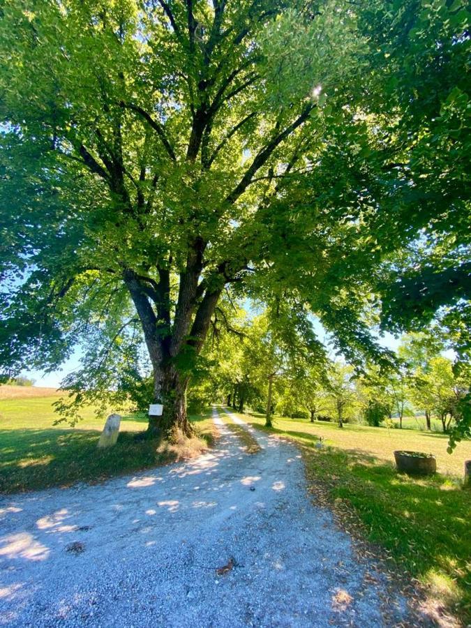 Gite De L'Edelinie Nanteuil-Auriac-de-Bourzac Bagian luar foto